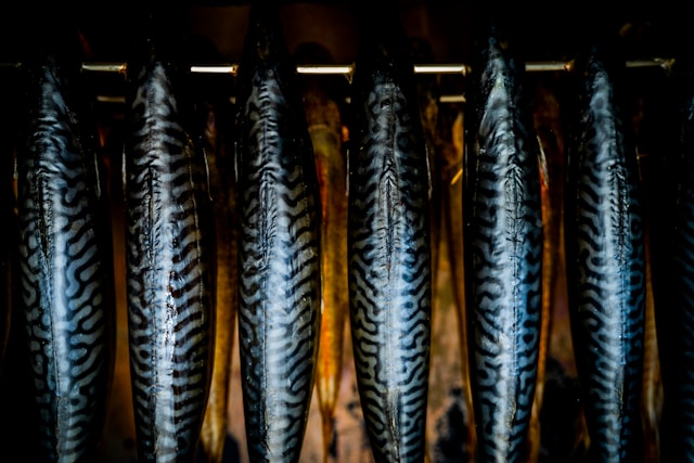 Mackerel on the smoking rods, smoked within hours of landing